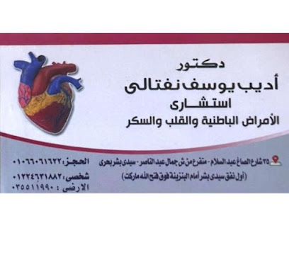Adyb Youssef Nftaly