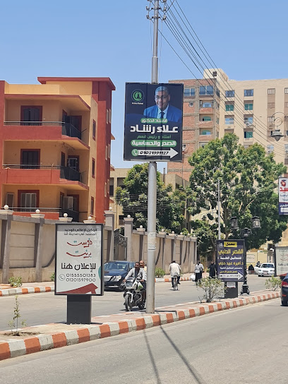 علاء رشاد