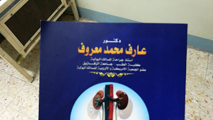 عارف محمد معروف