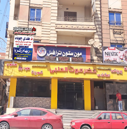 محمد عيسوي