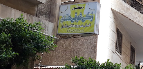 زكى شوقى هندى