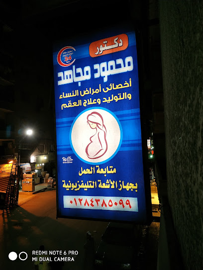 محمود مجاهد