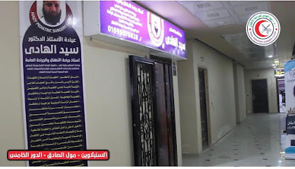 سيد الهادى
