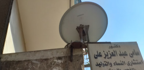 سامى عبد العزيز على
