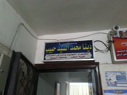 Dina Mohamed El-Sayed Hbyb