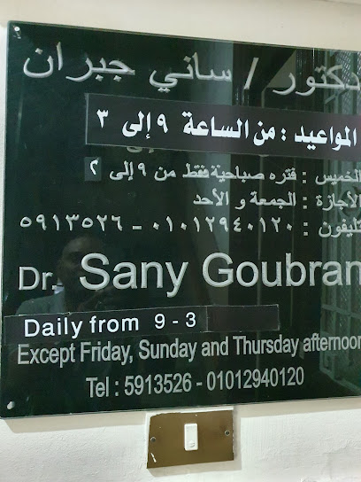 Sany Gbran