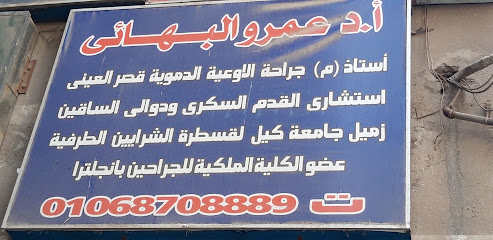 Amr El-Bhayy