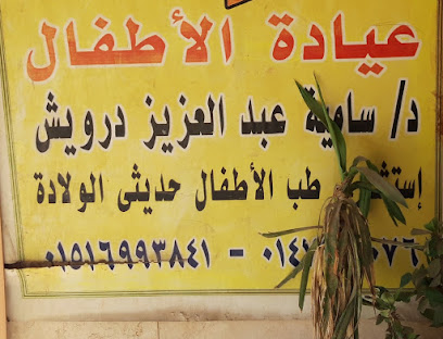 سامية عبد العزيز درويش