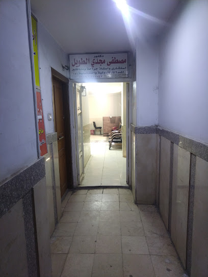 مصطفي الطويل