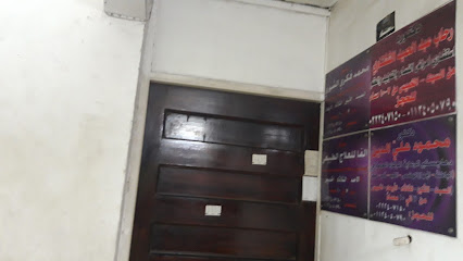 Mohamed Fkry El-Shwry