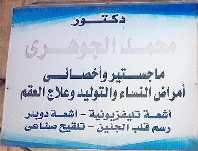 محمد الجوهري