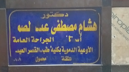 Hesham Mostafa Abdelsmd