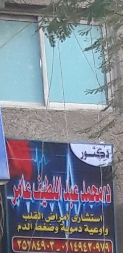محمد عبداللطيف عامر