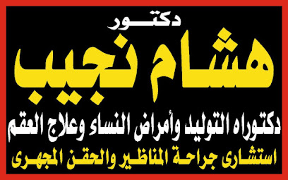 Hesham Naguib Ramadan