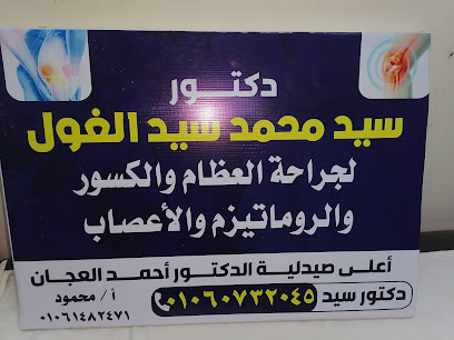 Sayed El-Ghwl
