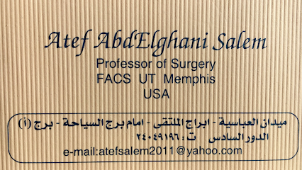 Atef Abdelghany