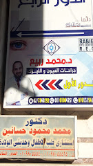 محمد ربيع
