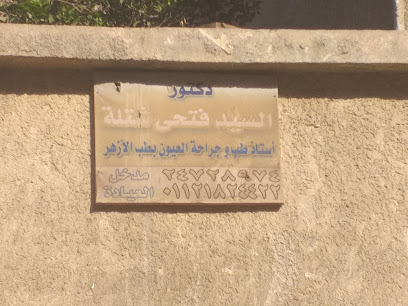 El-Sayed Fathy Shtlh