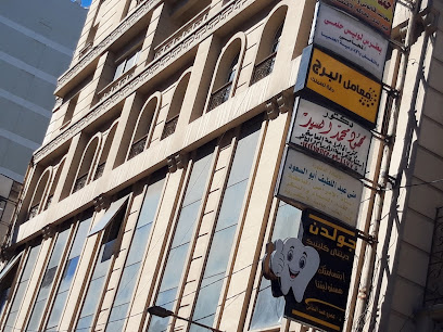 محمود محمد السيد