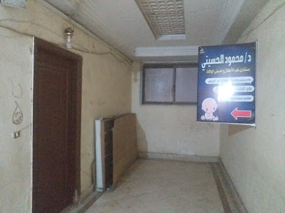 محمود الحسيني