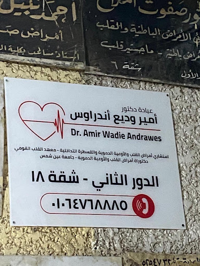 Amyr Wdya Andraws