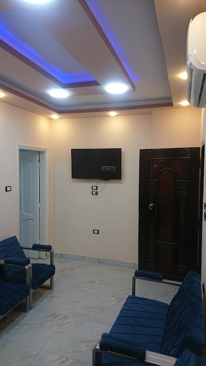مصطفى حبيشى