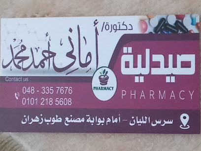 Amany Abdelhamid
