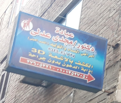 مجدى عدلى