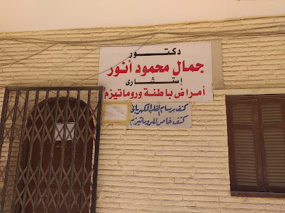جمال محمود أنور