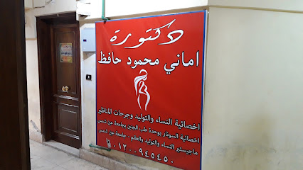 Amany Mahmoud Hafz
