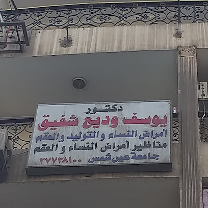 يوسف وديع شفيق