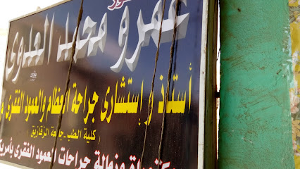 Amr Mohamed El-Adwy