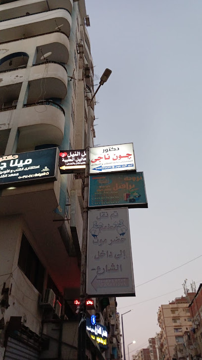 جون ناجى