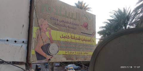 ستيفين شحاتة