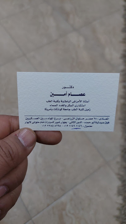 عصام الدين محمود امين