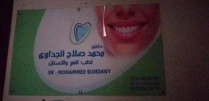 محمد صلاح الجداوي