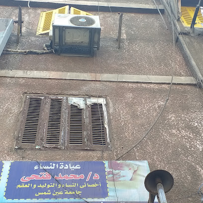 محمد فتحى