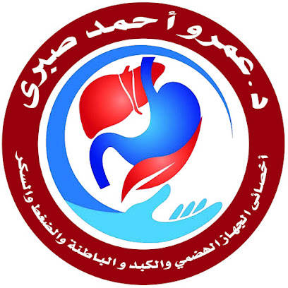 عمرو أحمد صبري
