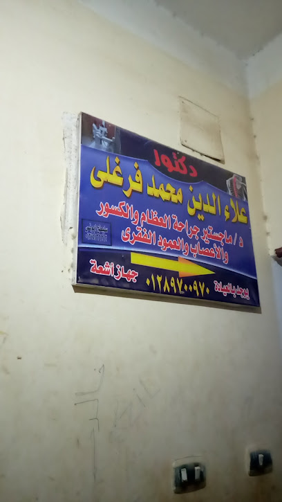 علاءالدين محمد فرغلي