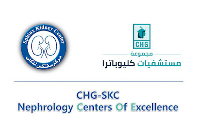 Sphinx kidney