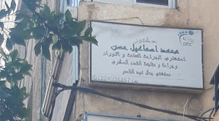 Mohamed Asmaayl Hassan