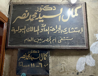 Kamal El-Sayed Mohamed Nasr