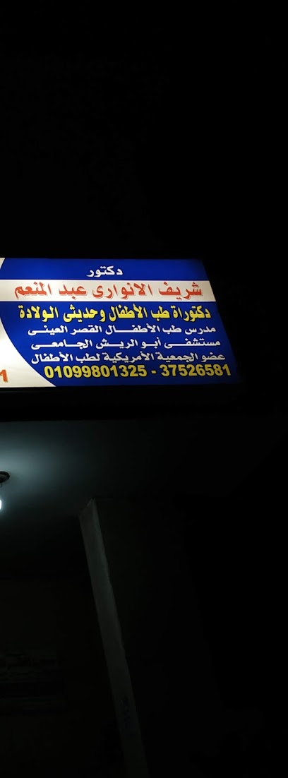 Sherif El-Anwary