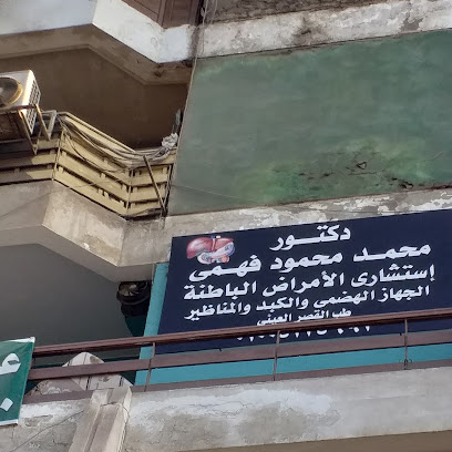 محمد محمود فهمى