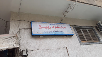 محمود ربيع