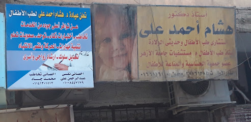 Hesham Ahmed Ali