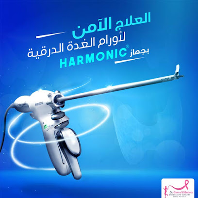 Gamal El-Bhyry