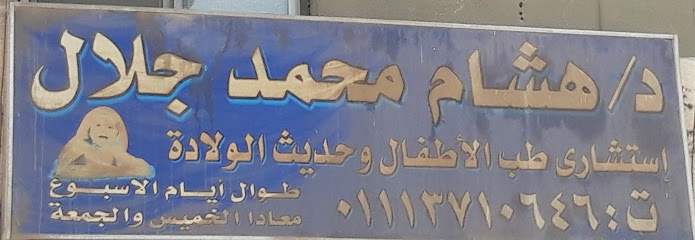 هشام محمد جلال
