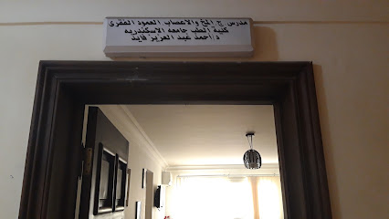 أحمد عبد العزيز صبري فايد