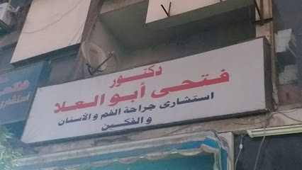 فتحى أبو العلا